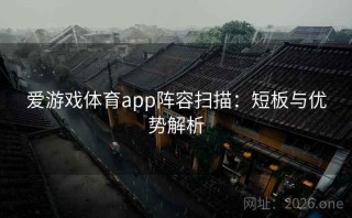 爱游戏体育app阵容扫描：短板与优势解析