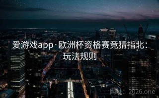 爱游戏app·欧洲杯资格赛竞猜指北：玩法规则