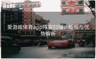 爱游戏体育app阵容扫描：短板与优势解析