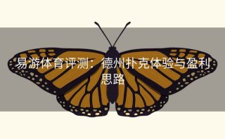易游体育评测：德州扑克体验与盈利思路