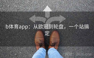 b体育app：从欧冠到轮盘，一个站搞定