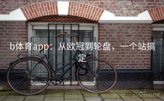 b体育app：从欧冠到轮盘，一个站搞定