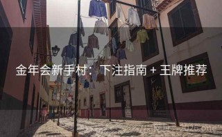 金年会新手村：下注指南 + 王牌推荐