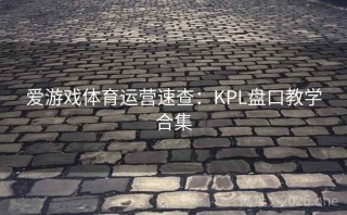 爱游戏体育运营速查：KPL盘口教学合集