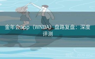 金年会app（WNBA）盘路复盘：深度评测