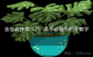 金年会体育·LPL·高手必看手把手教学