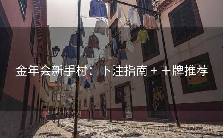 金年会新手村：下注指南 + 王牌推荐  第1张