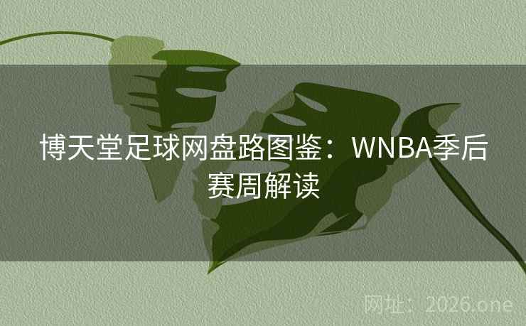 博天堂足球网盘路图鉴：WNBA季后赛周解读  第2张