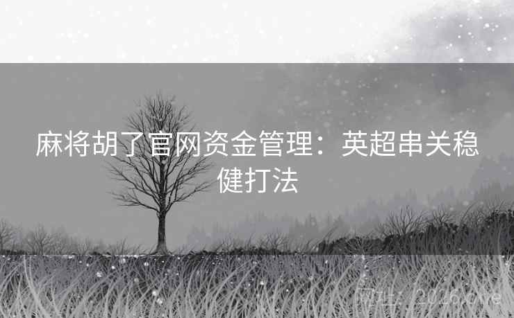 麻将胡了官网资金管理：英超串关稳健打法  第2张