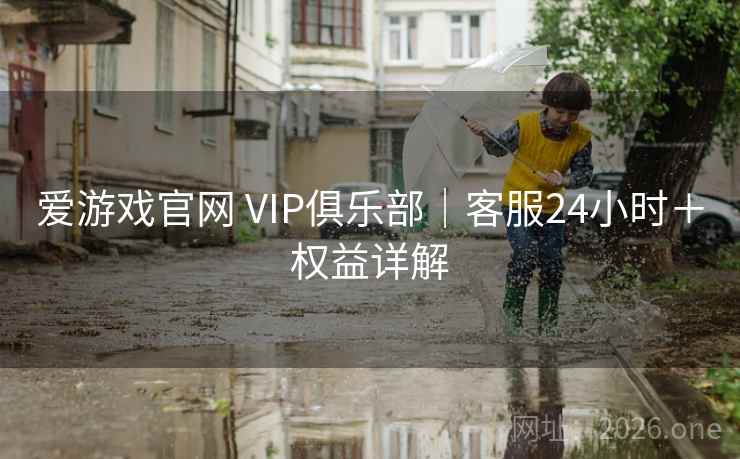 爱游戏官网 VIP俱乐部｜客服24小时＋权益详解  第1张