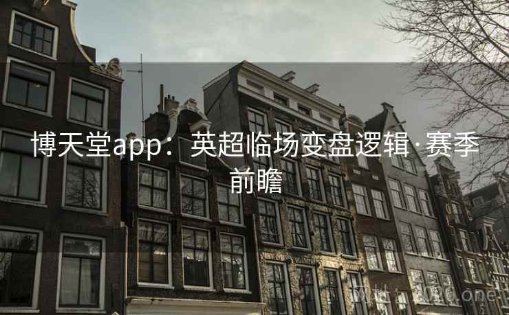 博天堂app：英超临场变盘逻辑·赛季前瞻  第2张