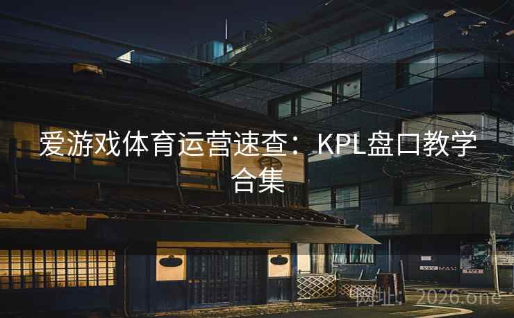 爱游戏体育运营速查：KPL盘口教学合集  第2张