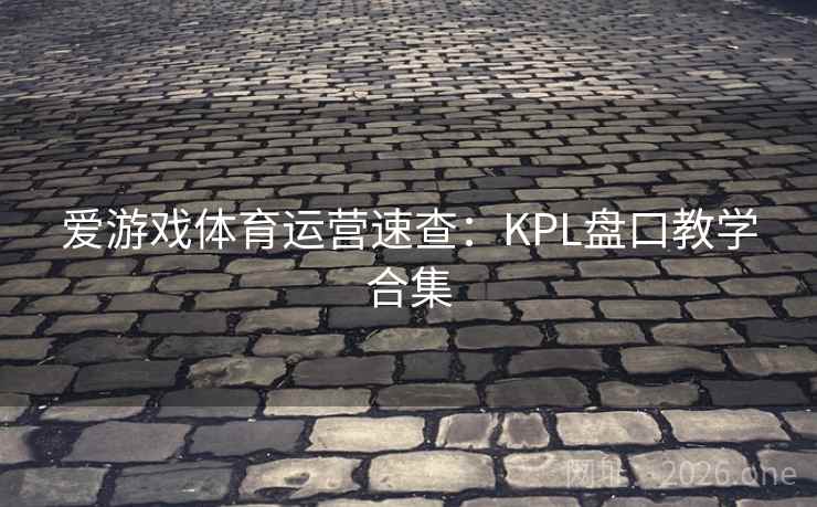 爱游戏体育运营速查：KPL盘口教学合集  第1张