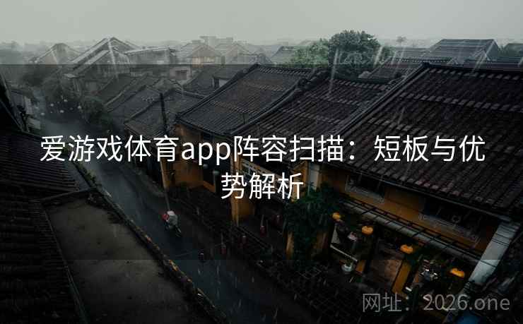 爱游戏体育app阵容扫描：短板与优势解析  第2张