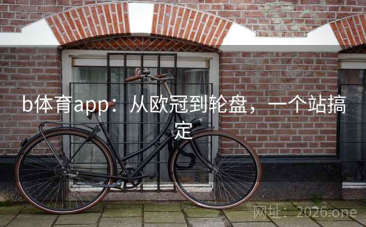 b体育app：从欧冠到轮盘，一个站搞定  第1张