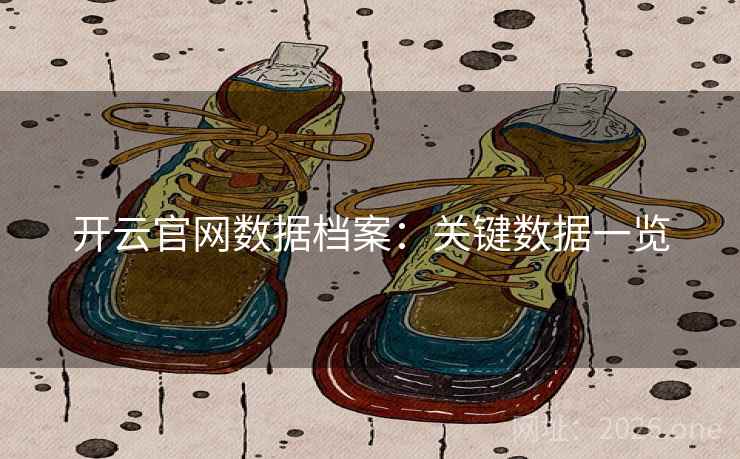 开云官网数据档案：关键数据一览  第2张