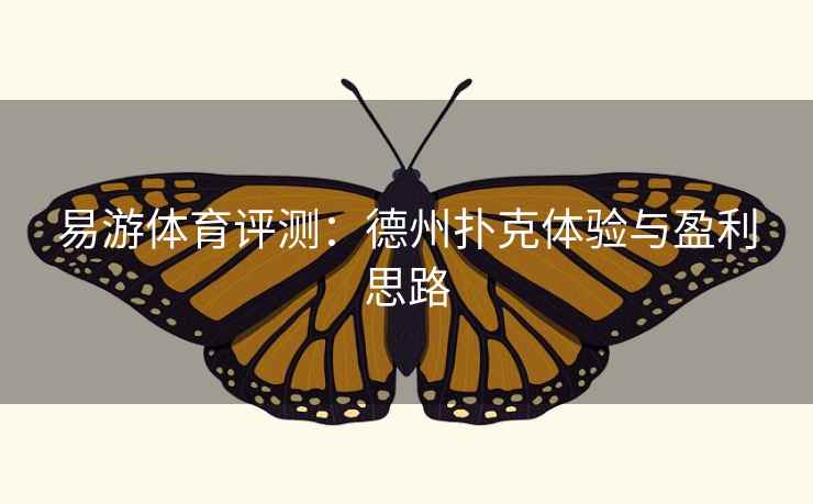 易游体育评测：德州扑克体验与盈利思路  第2张
