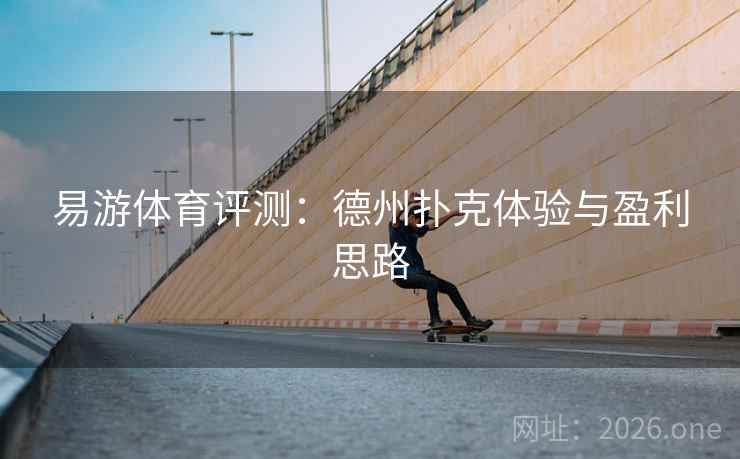 易游体育评测：德州扑克体验与盈利思路  第1张