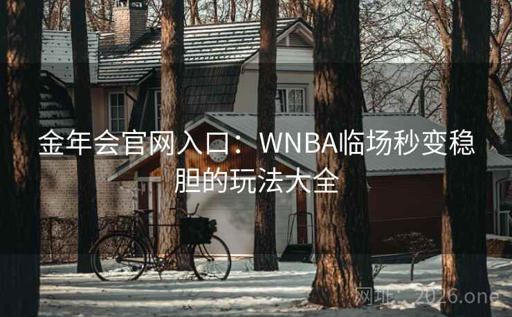 金年会官网入口：WNBA临场秒变稳胆的玩法大全  第2张