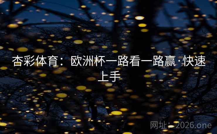 杏彩体育：欧洲杯一路看一路赢·快速上手  第2张